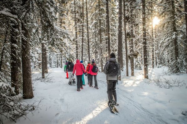 Fotografía de un paisaje nevado con árboles invernales con nieve en las ramas y varios estudiantes caminando sobre sus esquís de espaldas, se ve el sol entrar entre los árboles y reflejarse en la nieve del suelo