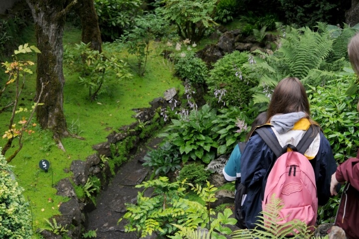 Excursión campamento de dublín 2019
