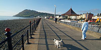 demi-pair-bray-irlanda