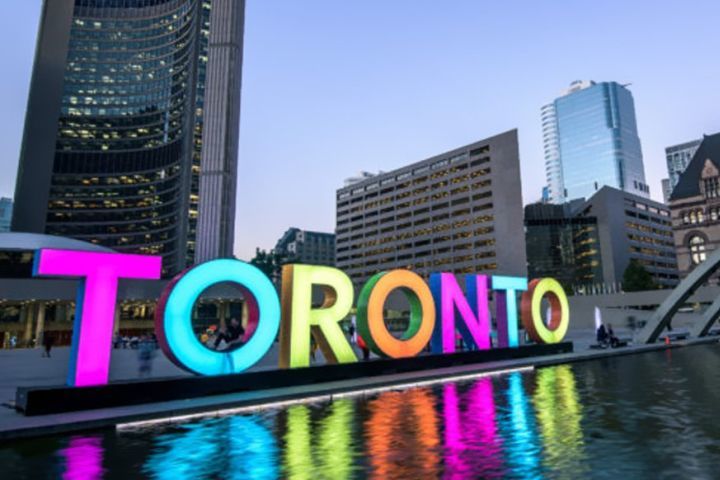 sandra toronto