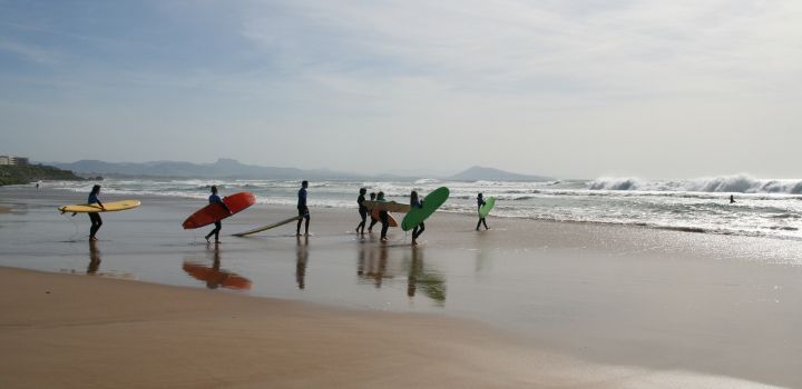 Participantes del campamento de francés y surf en Biarriz racticando surf en la playa